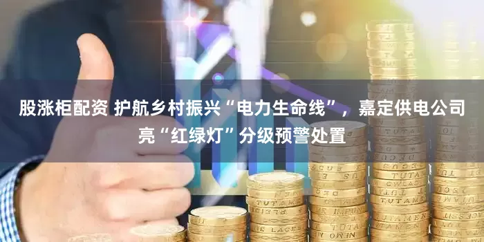 股涨柜配资 护航乡村振兴“电力生命线”，嘉定供电公司亮“红绿灯”分级预警处置