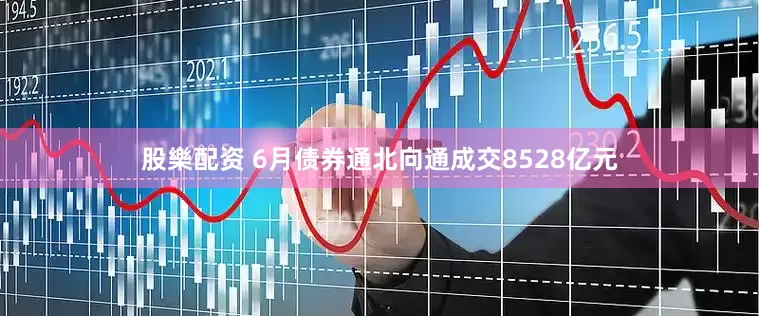 股樂配资 6月债券通北向通成交8528亿元